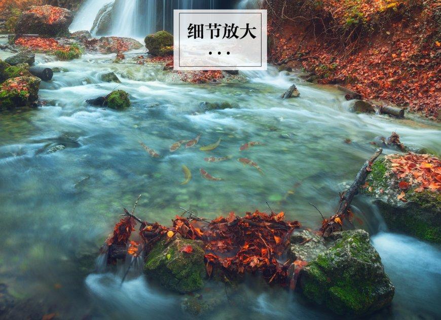 男性补精生儿生女有讲究!10大高成功率补精食补推荐【洁柯生命】